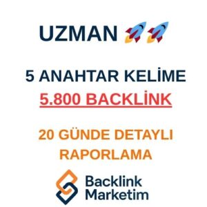 Uzman Backlink Paketi