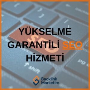 SEO Danışmanlığı